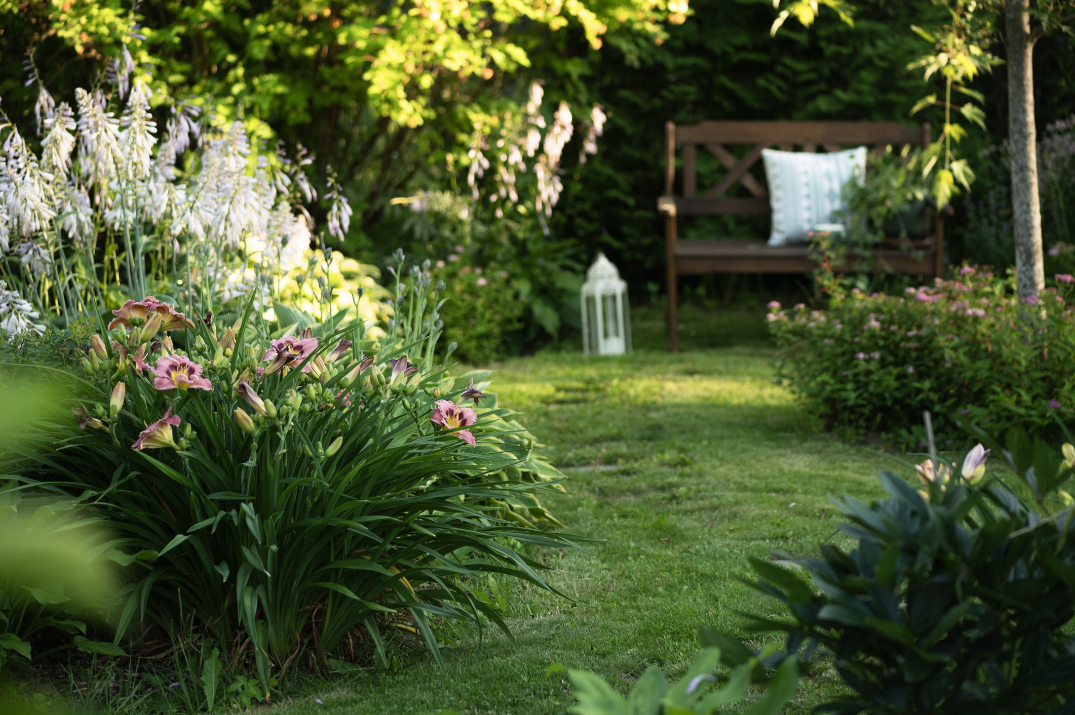 wooden garden bench in summer with curvy stone pathway and blooming day-lily wooden garden bench in summer with curvy stone pathway and blooming day-lily